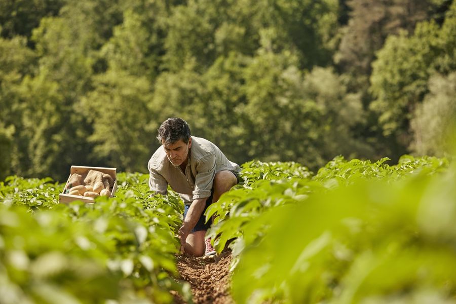 Arbeiter auf einem Feld in der Sonne